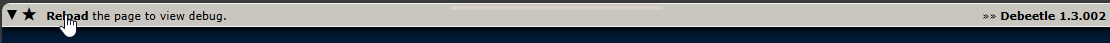 Reload the page to view debug
