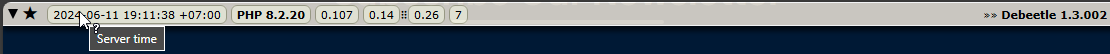 Server time